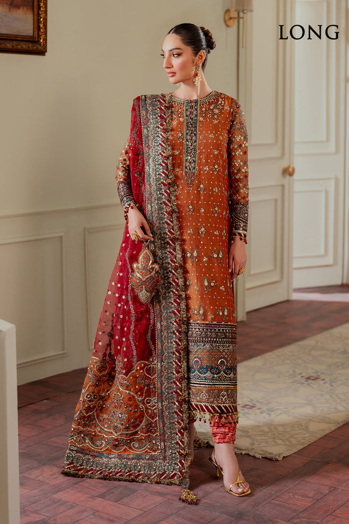 EMBROIDERED NET CH13-01 | NOOR E RIVAJ