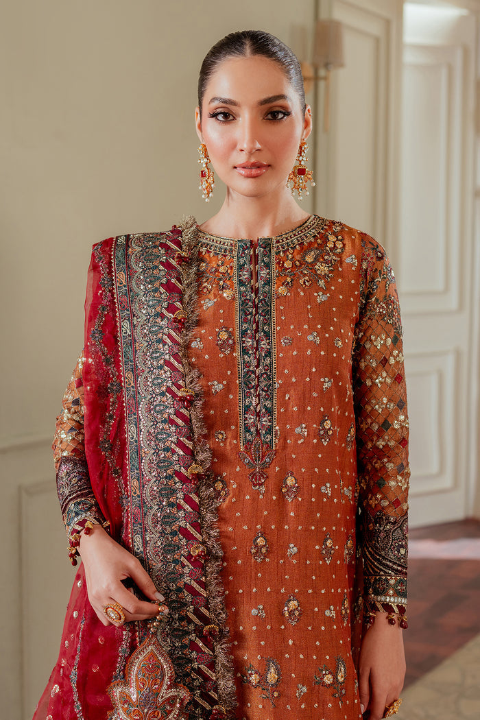 EMBROIDERED NET CH13-01 | NOOR E RIVAJ