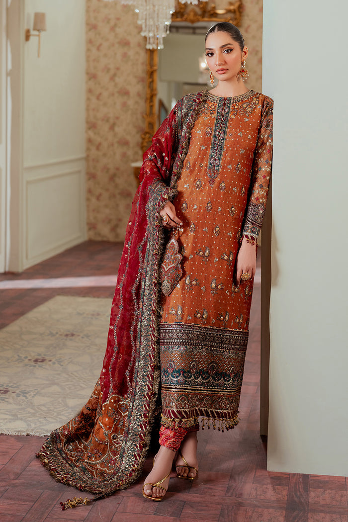 EMBROIDERED NET CH13-01 | NOOR E RIVAJ