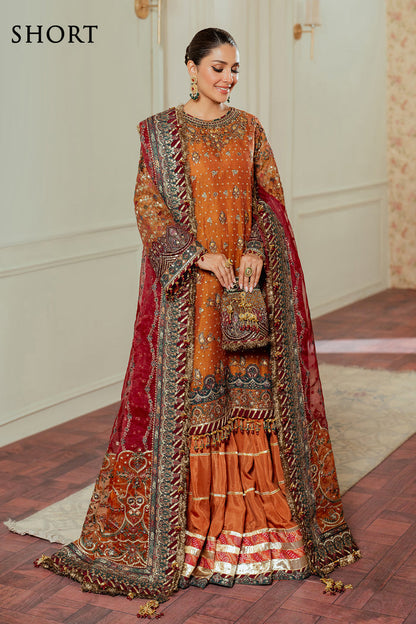 EMBROIDERED NET CH13-01 | NOOR E RIVAJ