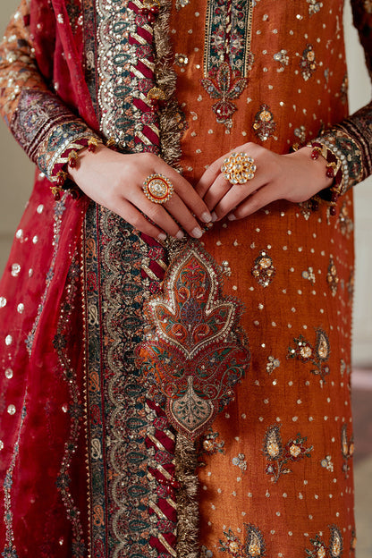 EMBROIDERED NET CH13-01 | NOOR E RIVAJ