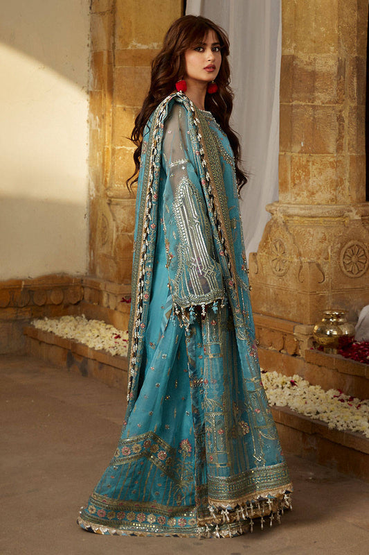 Mohsin Naveed Ranjha  UMBER  ZWU23-17