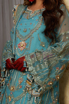 Mohsin Naveed Ranjha  UMBER  ZWU23-17