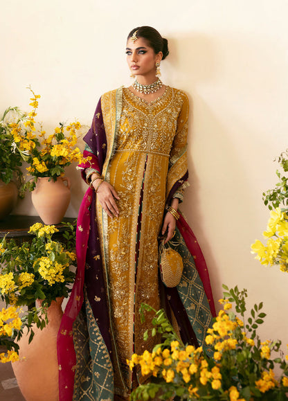 GULAAL WEDDING COLLECTION |NAYAARA| NOOR E RIVAJ