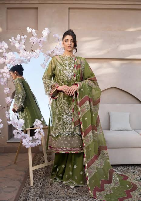 ELAF Premium Celebrations Embroidered Organza Unstitched 3Pc Sui